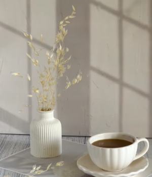طرح کرم